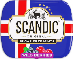SCANDIC Конфеты без сахара 14г*18шт. Лесные ягоды Скандик